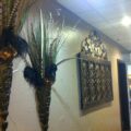 Dr. Bradley Dean D.D.S. Office Tour